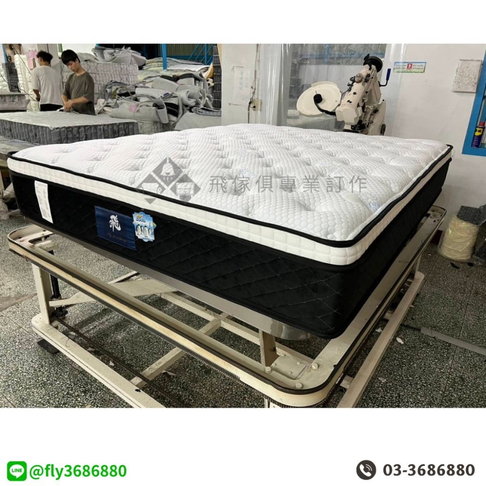 北極熊