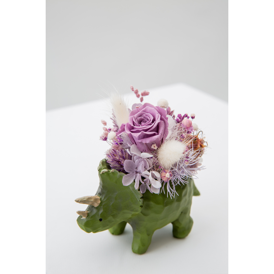 恐龍系列 乾燥盆花