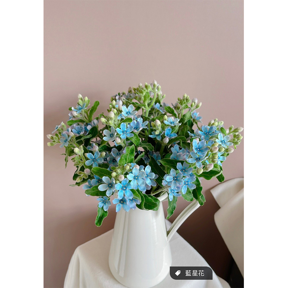單一花種週花