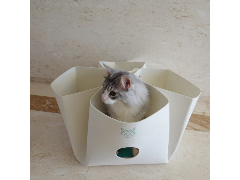 現貨貓玩具｜花花變形玩具