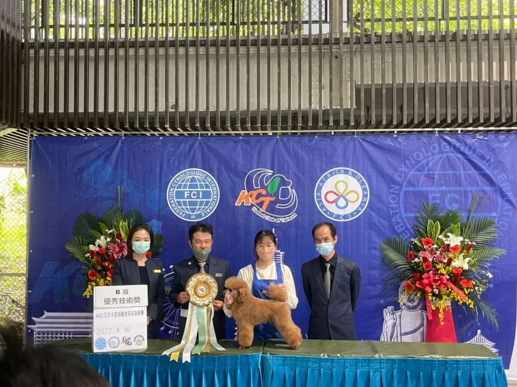 寵物美容教學-比賽現場
