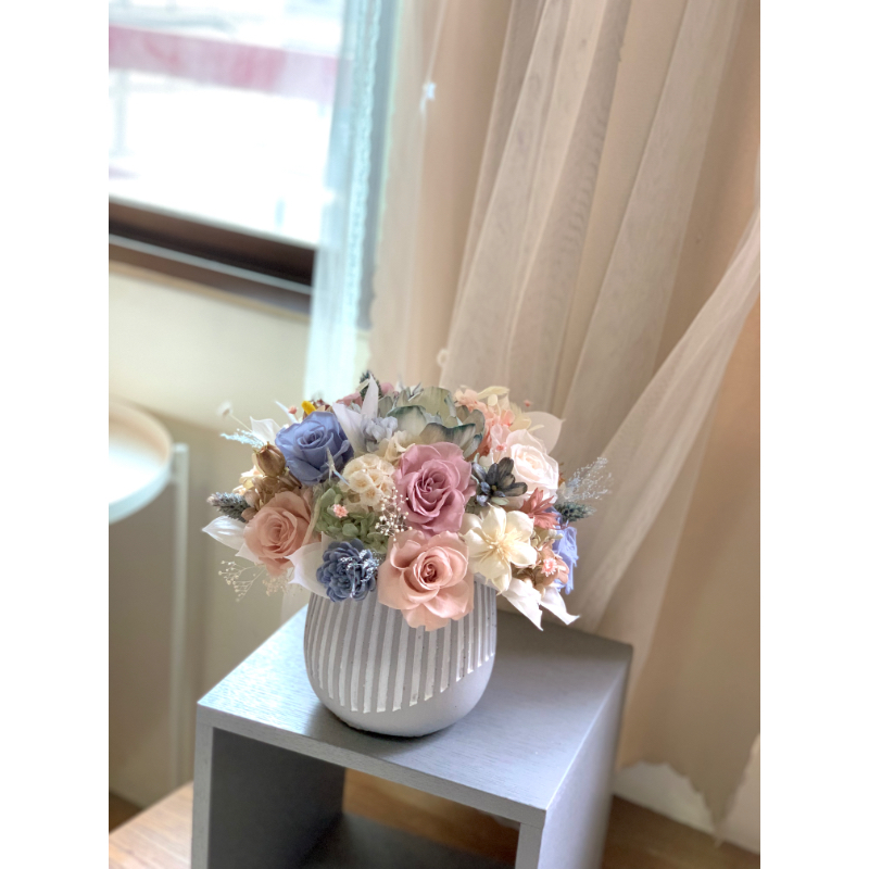 中大盆永生盆花