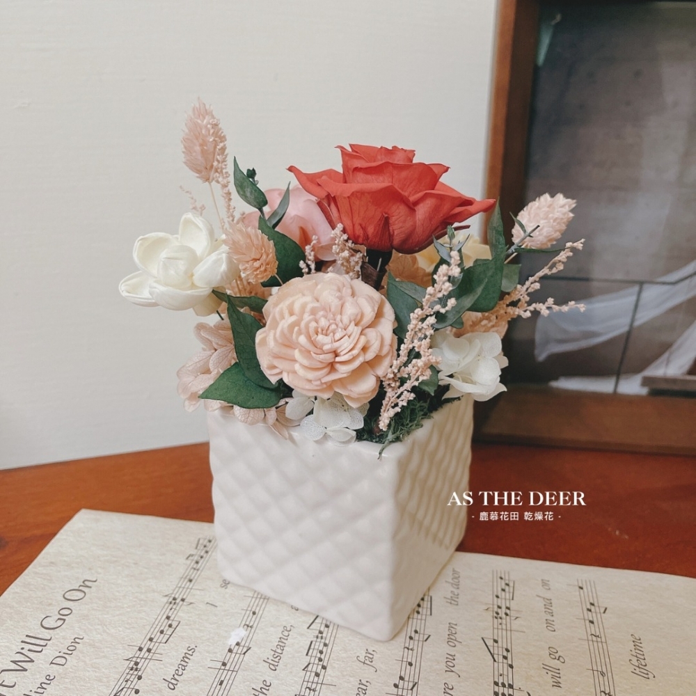 知性玫瑰  永生乾燥盆花