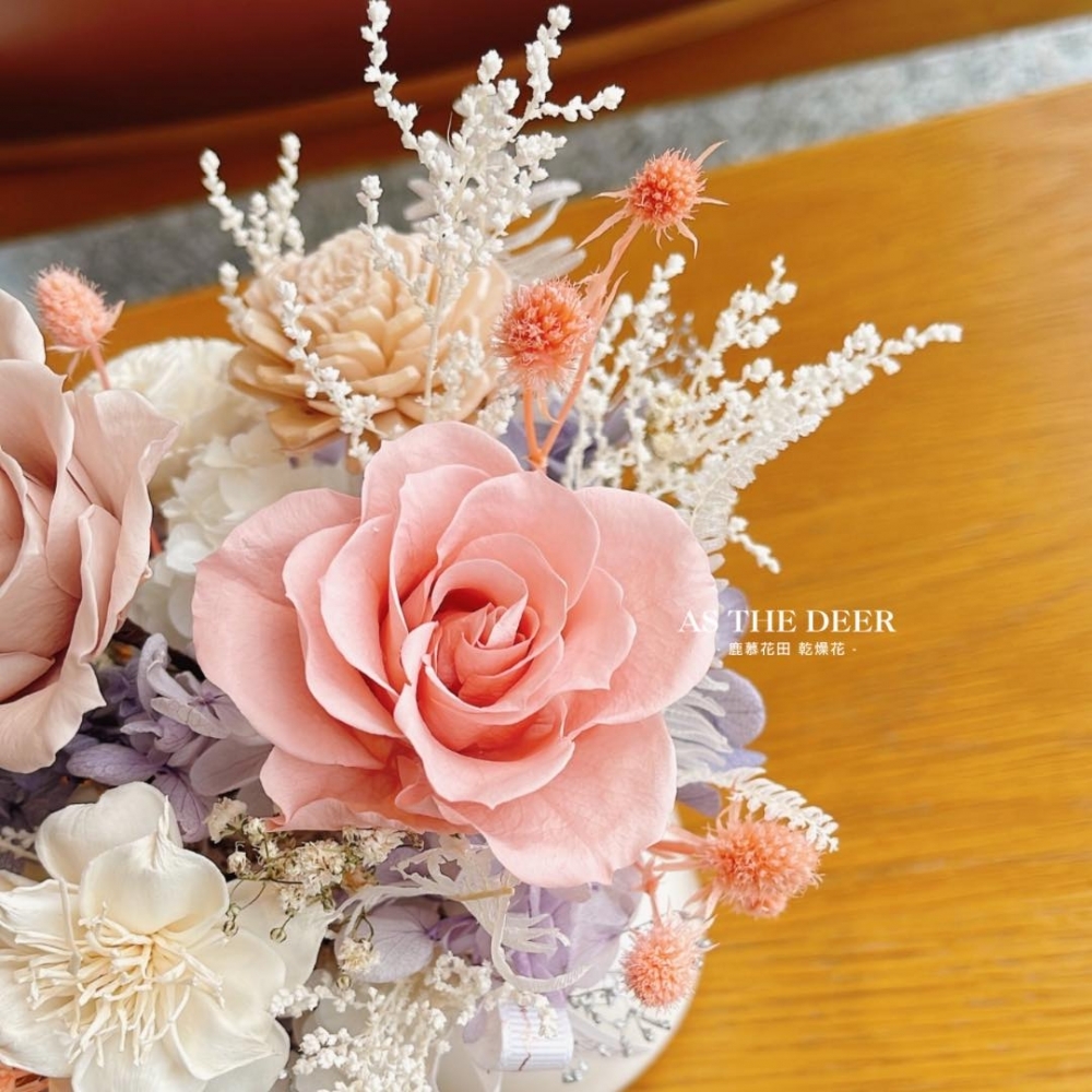 清新雋永  永生乾燥盆花
