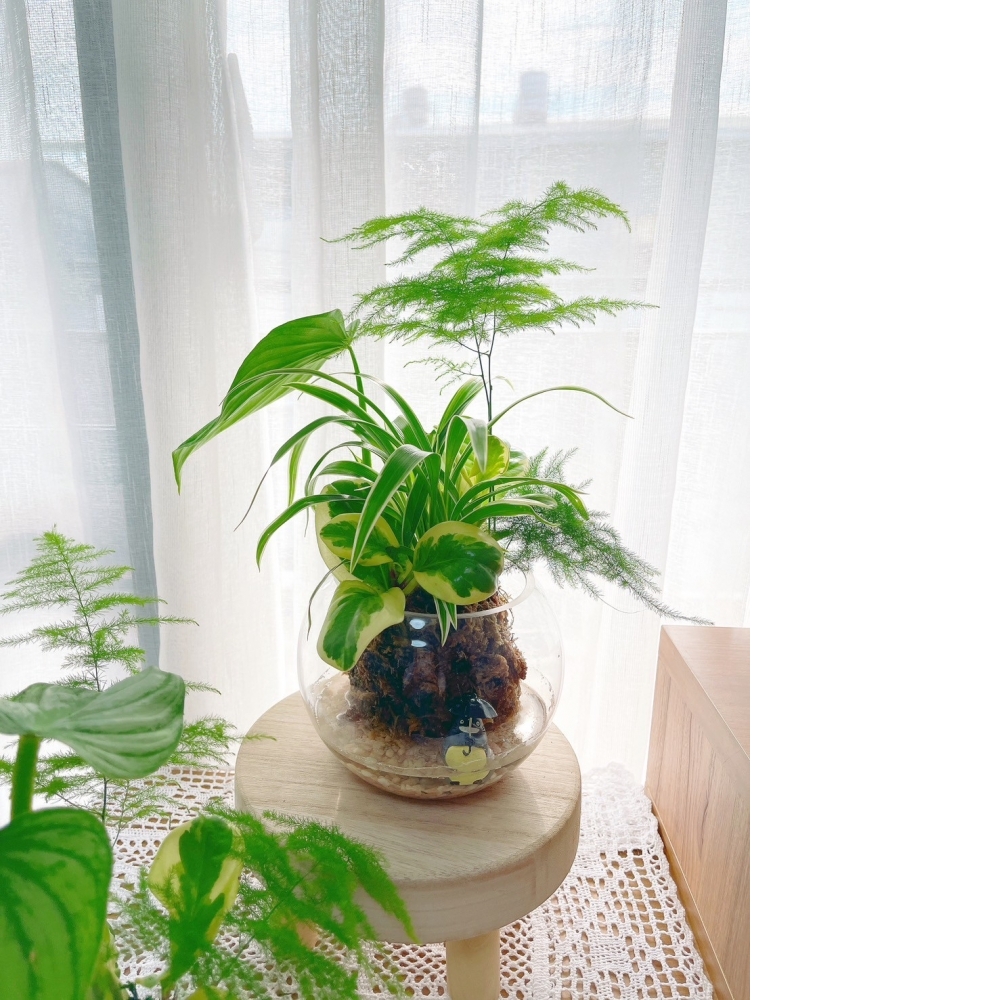 7月 兒童花藝｜繪本 x 園藝