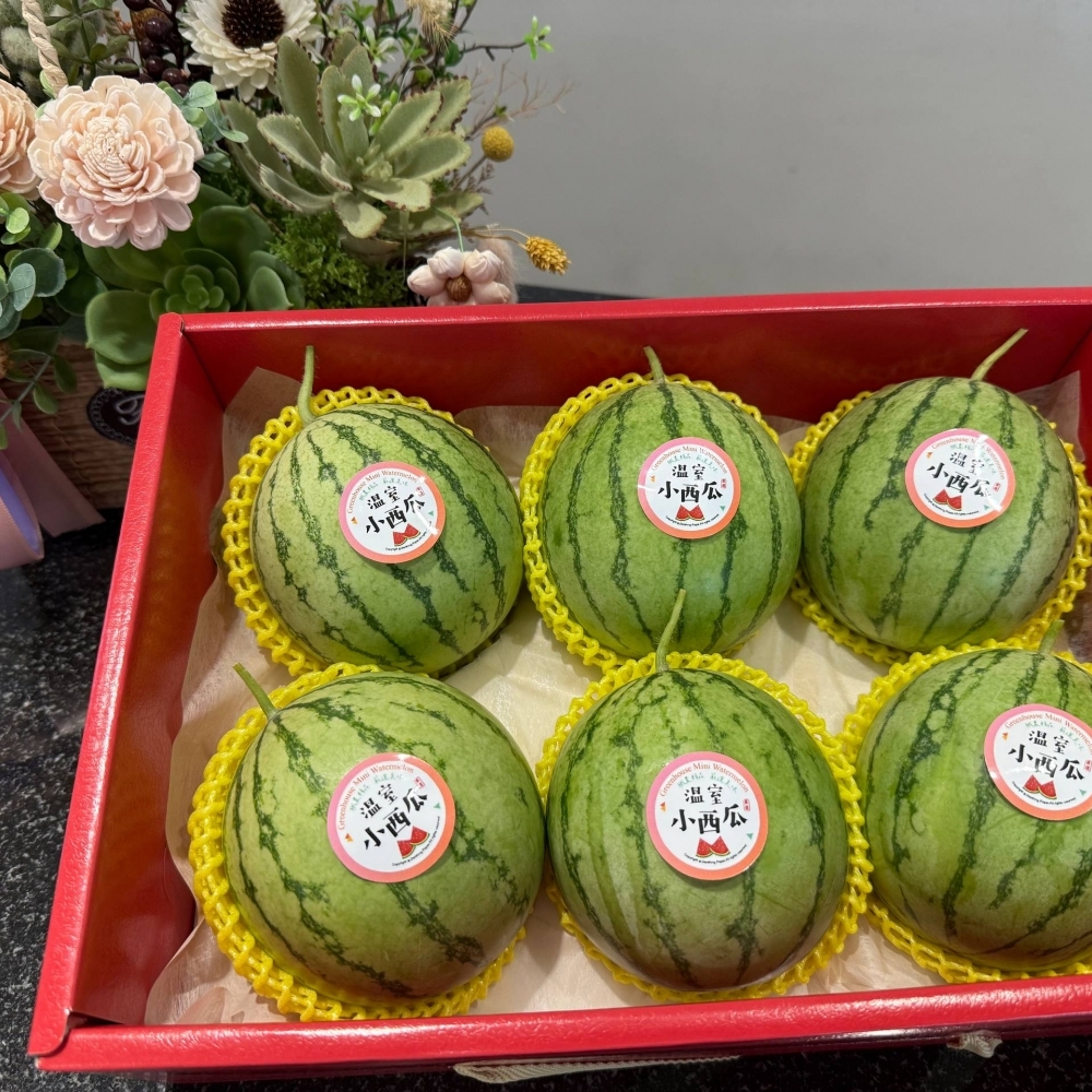迷你西瓜禮盒-缺貨中