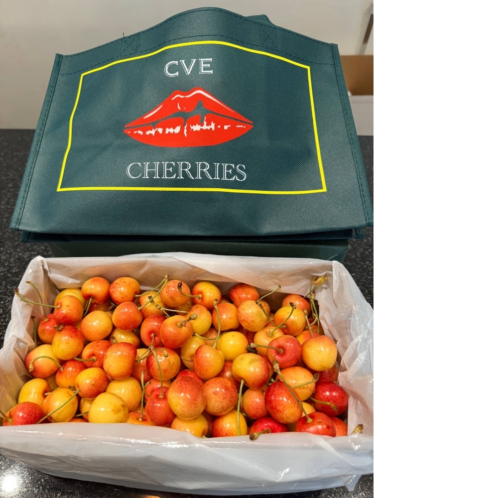 紐西蘭 空運 大嘴巴