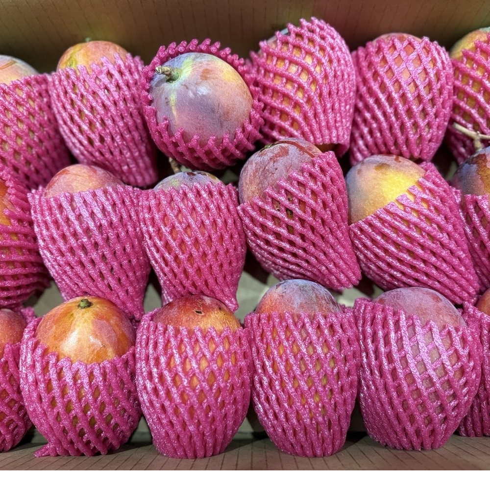 愛文芒果