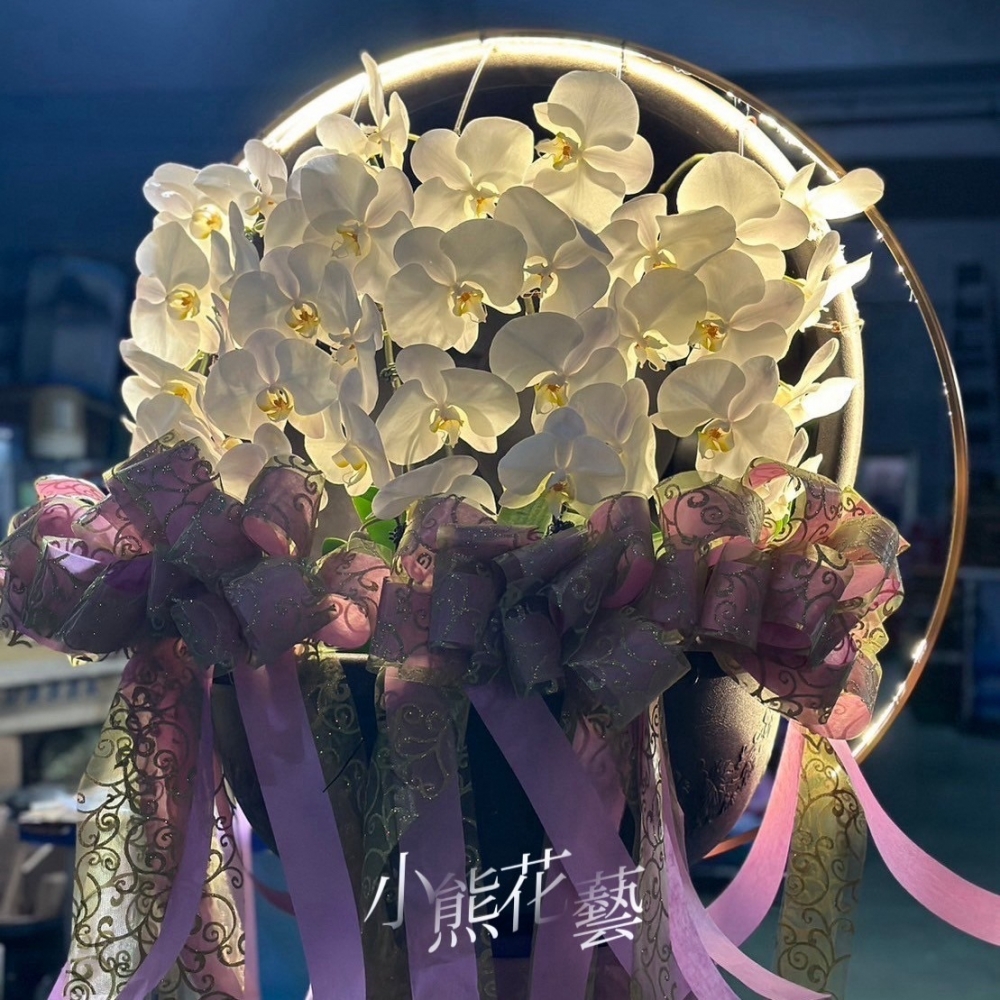 【光圈蘭花】