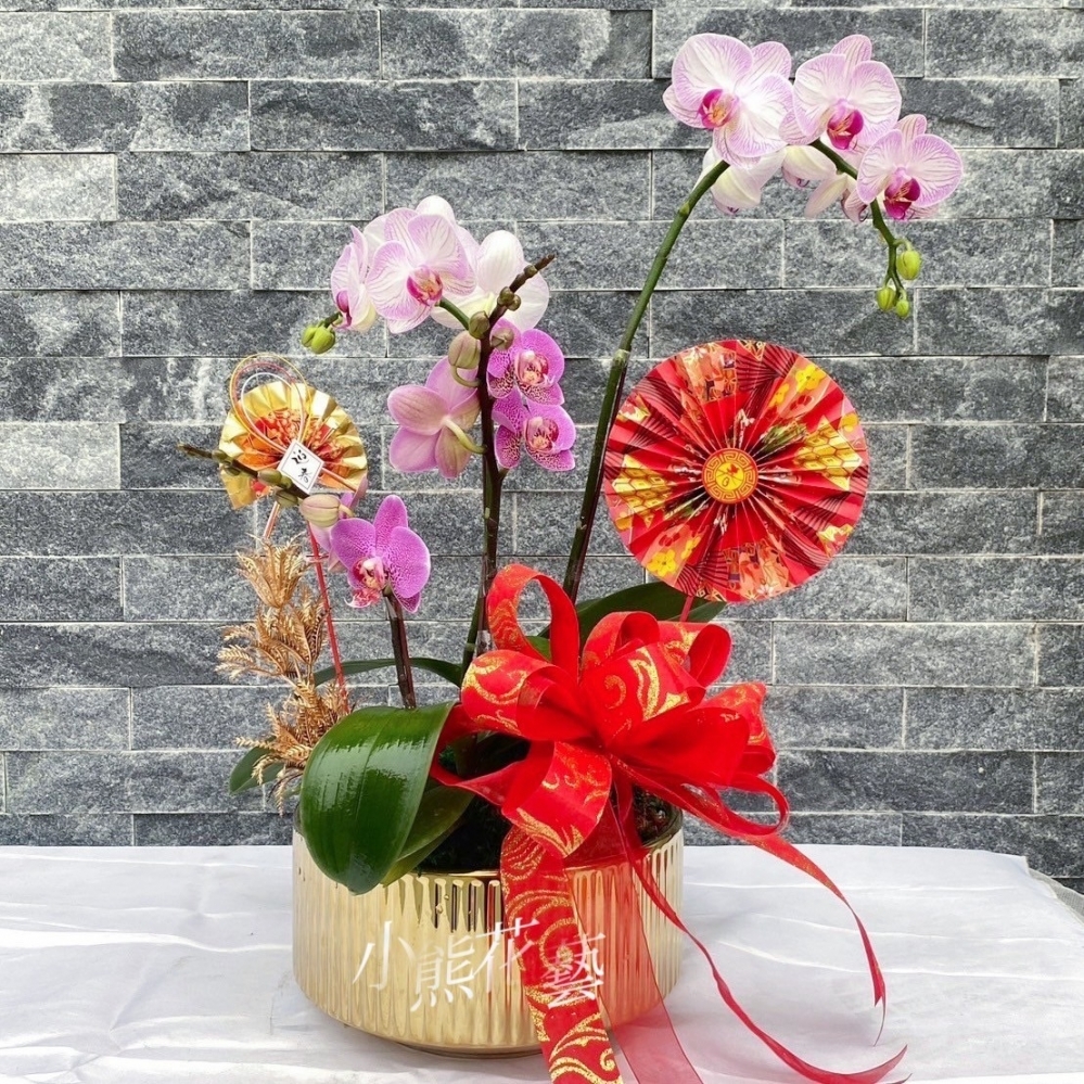 【祝賀蘭花】A