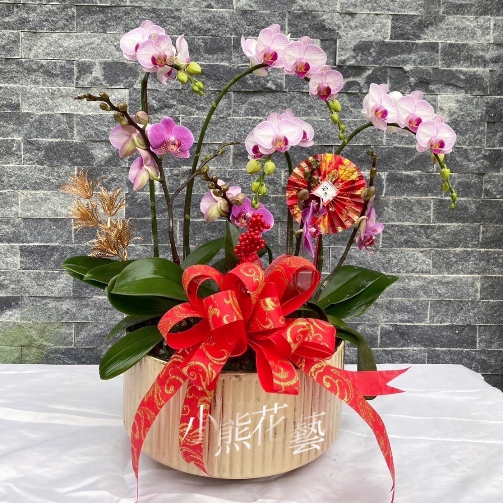【祝賀蘭花】C