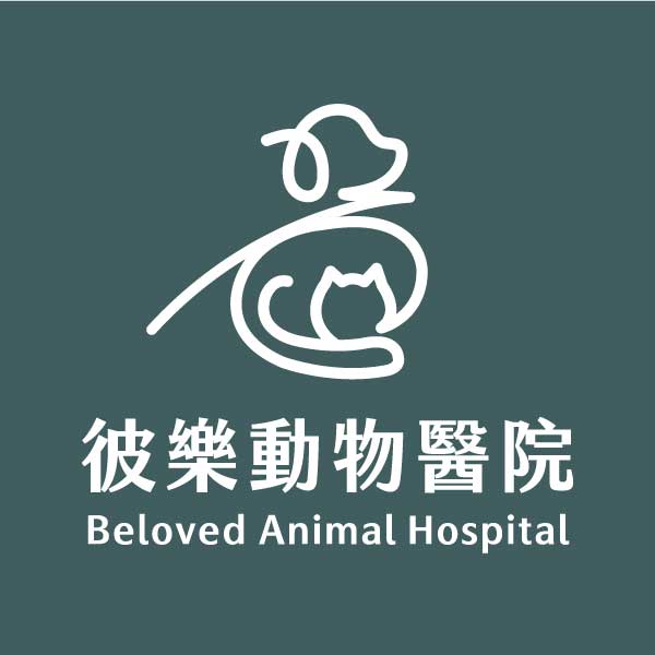 犬貓獨立診間
