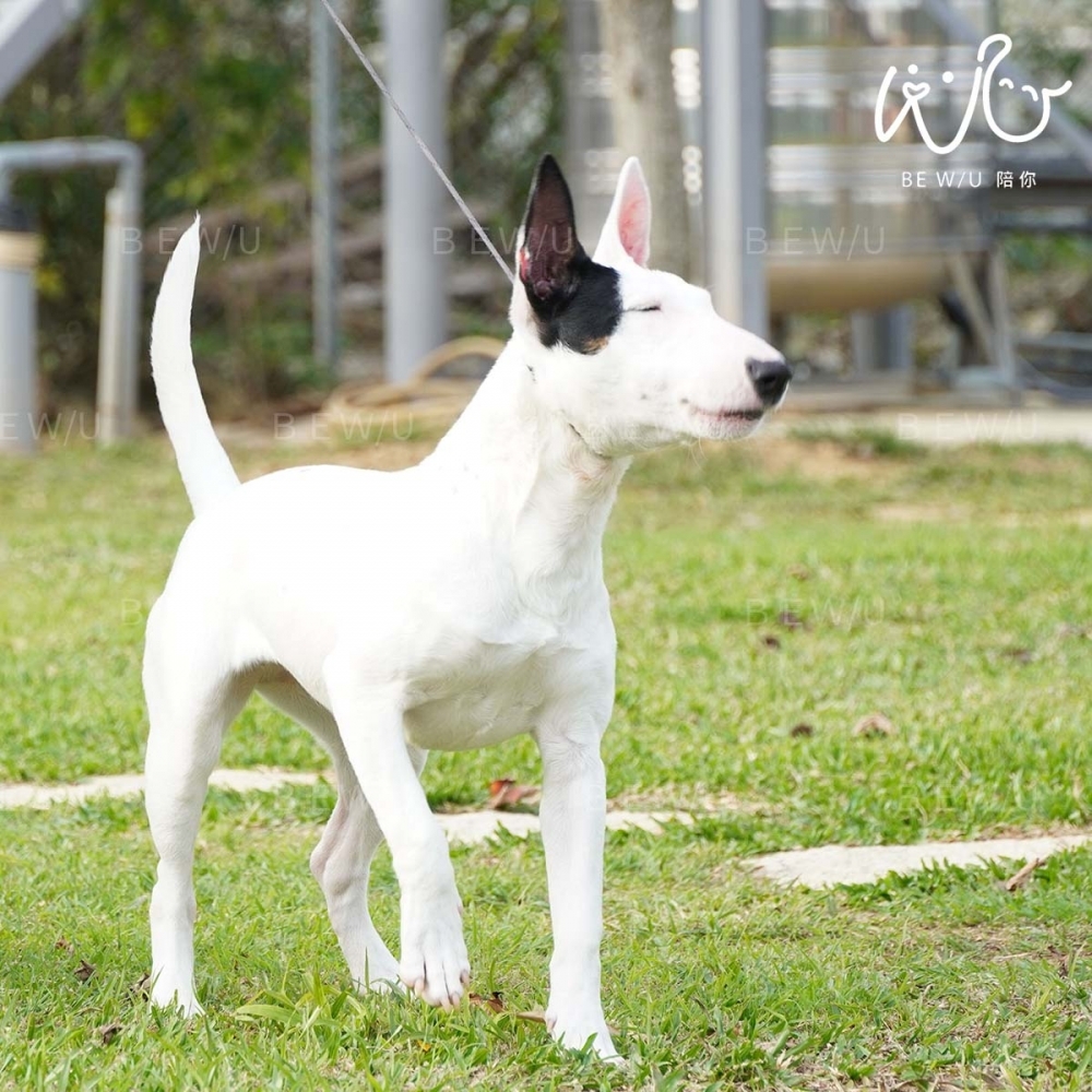 戶外訓練實況 >>更