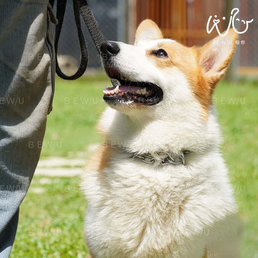 戶外訓練實況 >>更