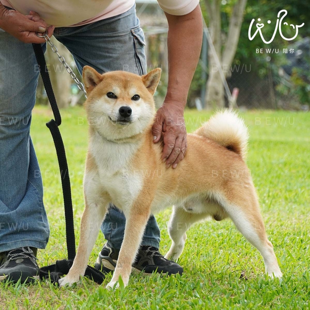 戶外訓練實況 >>更