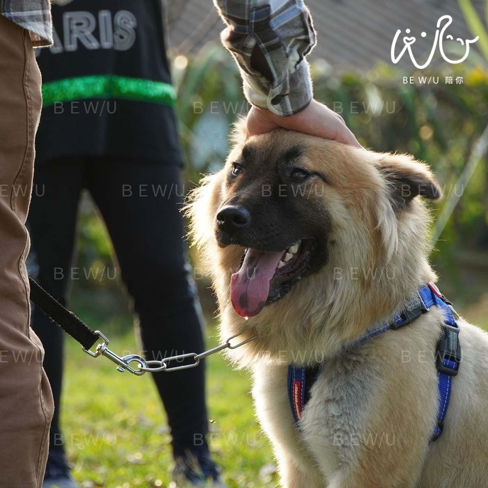 戶外訓練實況 >>更