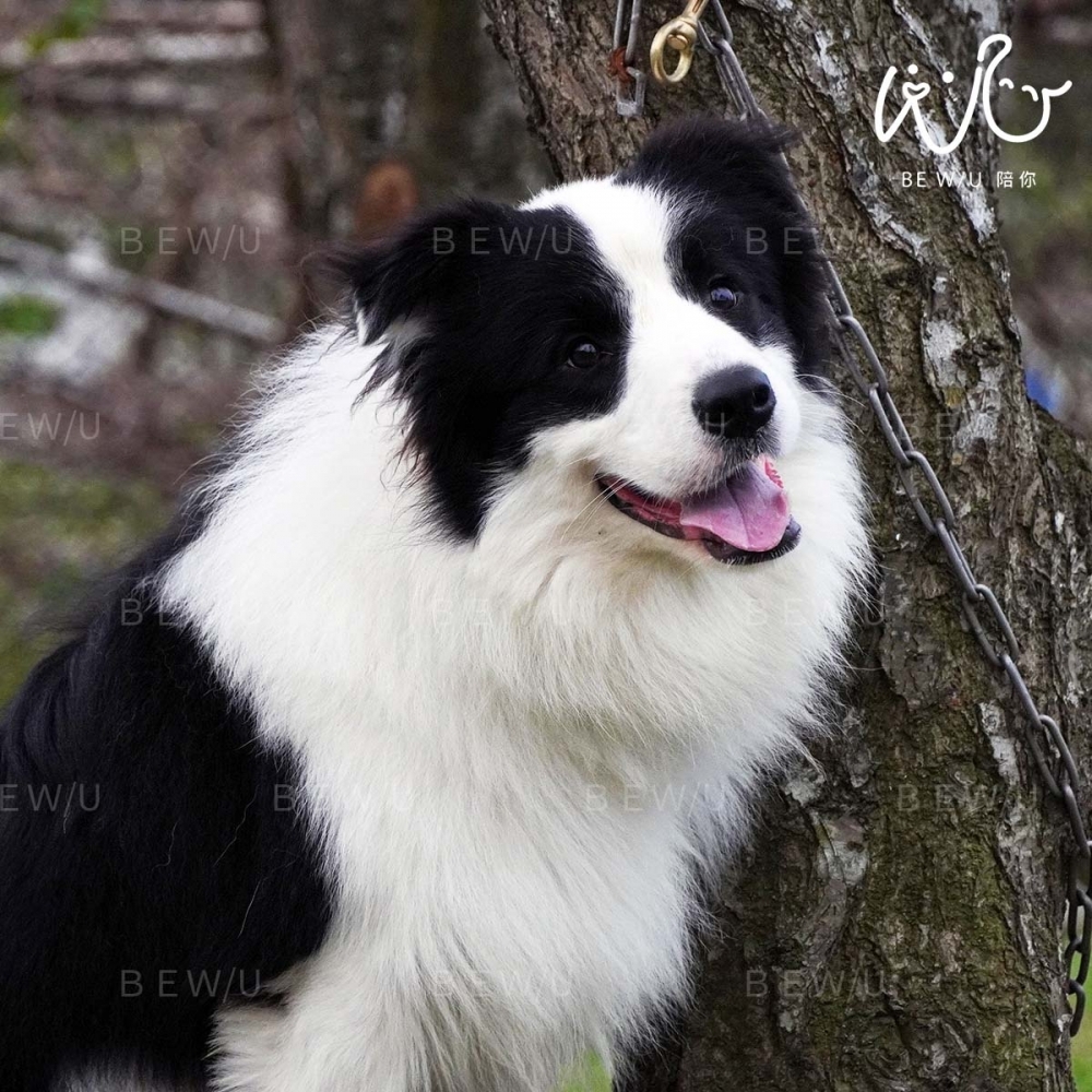 戶外訓練實況 >>更