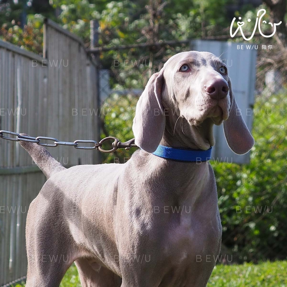 戶外訓練實況 >>更