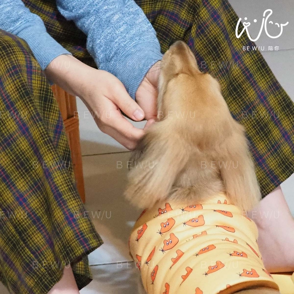 到府訓練實況 >>更多照片