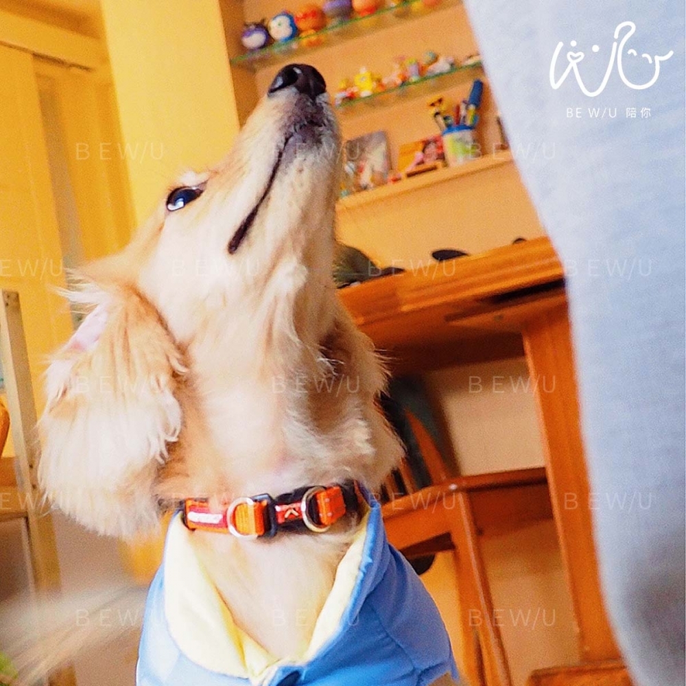 到府訓練實況 >>更