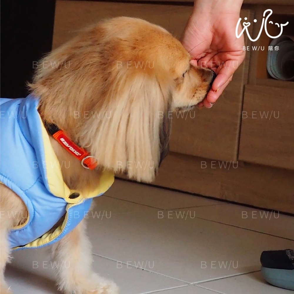 到府訓練實況 >>更多照片