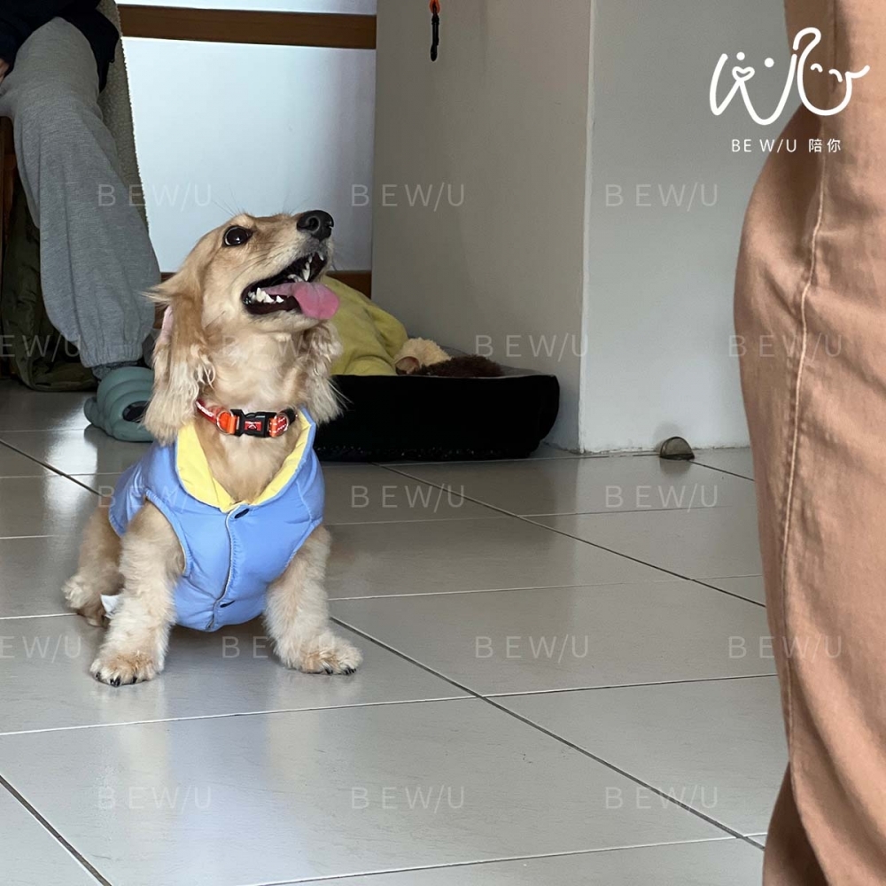 到府訓練實況 >>更多照片