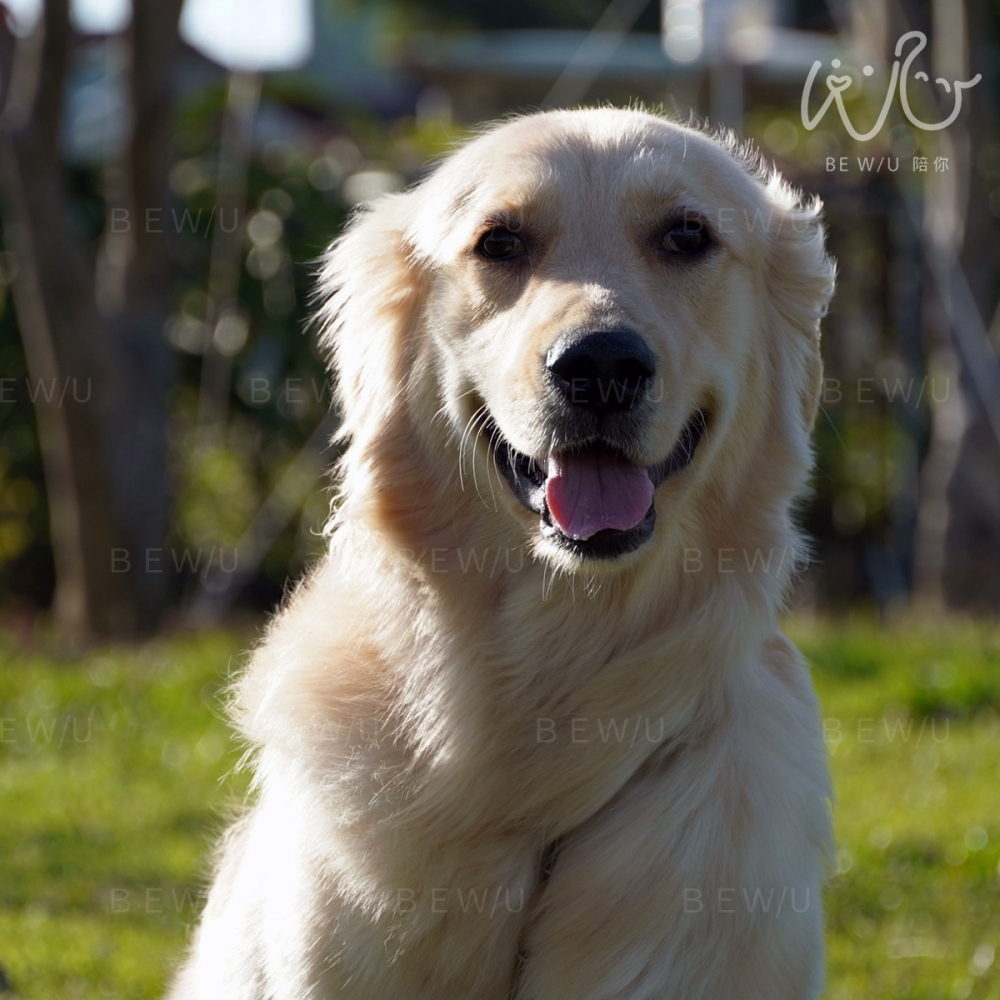 戶外訓練實況 >>更