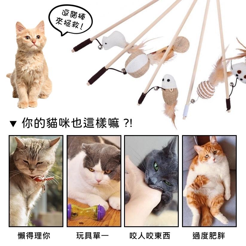 不傷牙逗貓棒