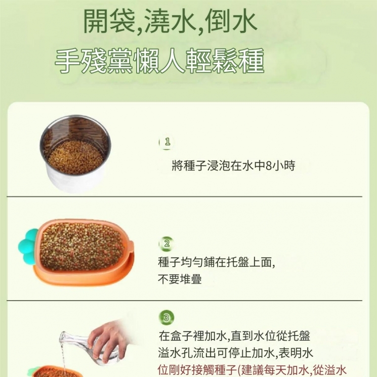 紅蘿蔔水耕貓草盆