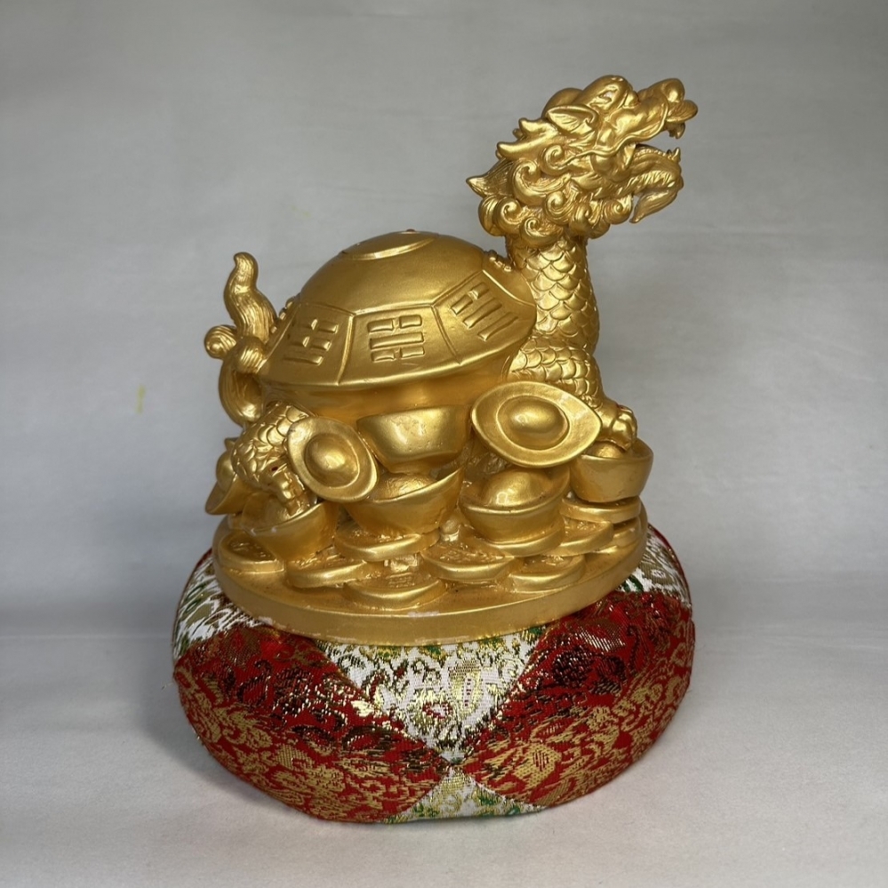 龍龜