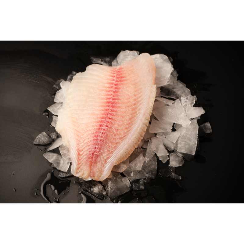 鯛魚片200/250(2L)-10KG