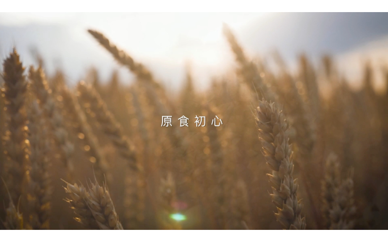 松園食品 麵食品牌形