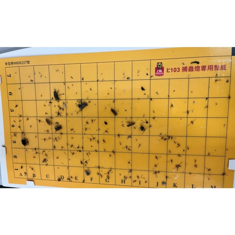 【免運+電子發票】L-103專用捕蟲紙
