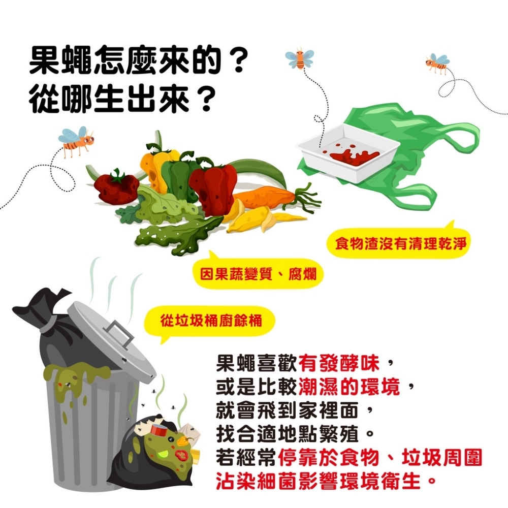 【發票】果蠅誘殺餌劑盒 長效100天 奧除 果蚤蠅 果蠅杯