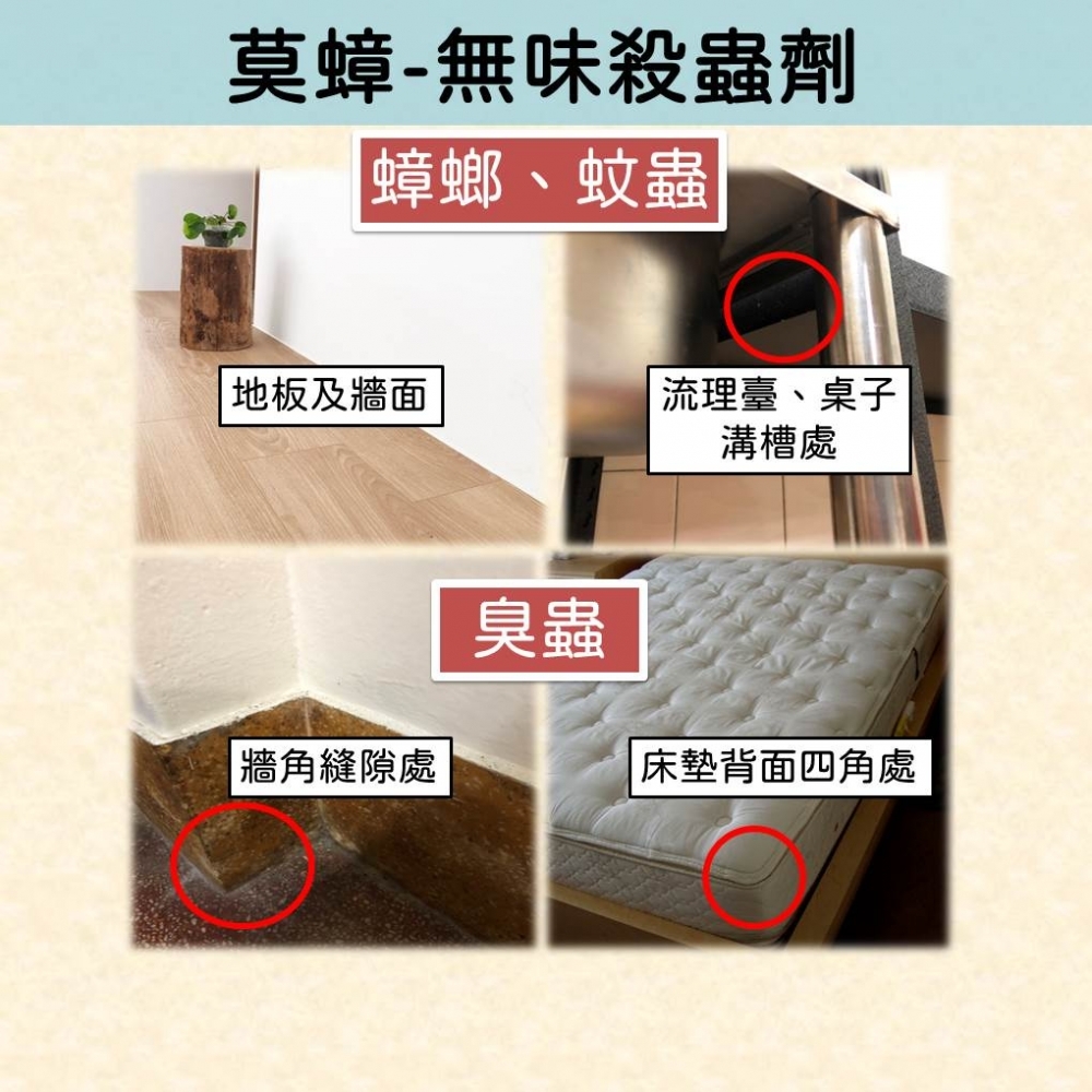 【99免運+發票】殺蟲劑 無味版 臭蟲 跳蚤 螞蟻 蟑螂 噴霧式殺蟲劑