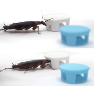 【多件優惠】蟑螂藥 螞蟻藥餌盒 八色任挑選 灰色白色藍色綠色黃色橘色粉色 防誤食餌盒