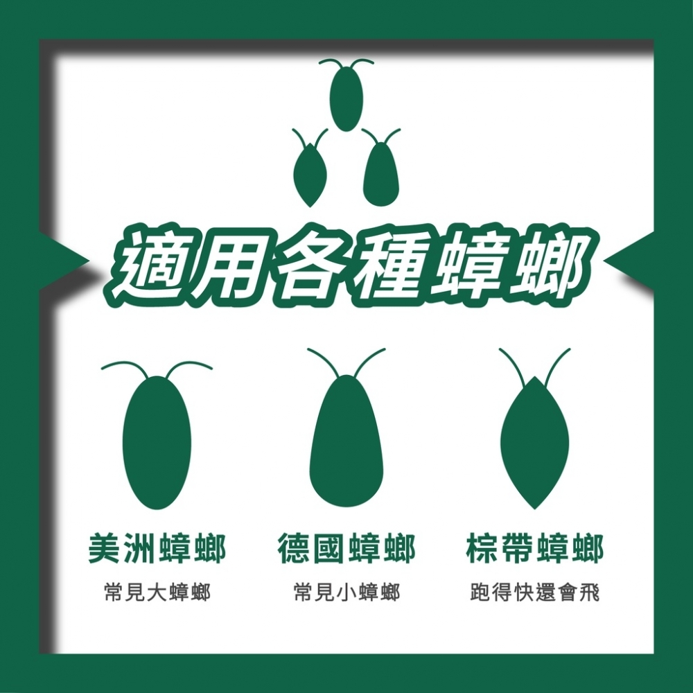 【99免運+電子發票】小強同學蟑螂藥 10克 除蟲專家指定 滅蟑 除蟑 蟑螂凝膠 餌膠