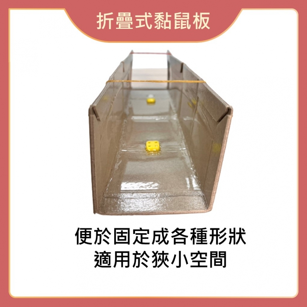【99免運+發票】折疊型黏鼠板 3入組 台灣製 除鼠 捕鼠 滅鼠