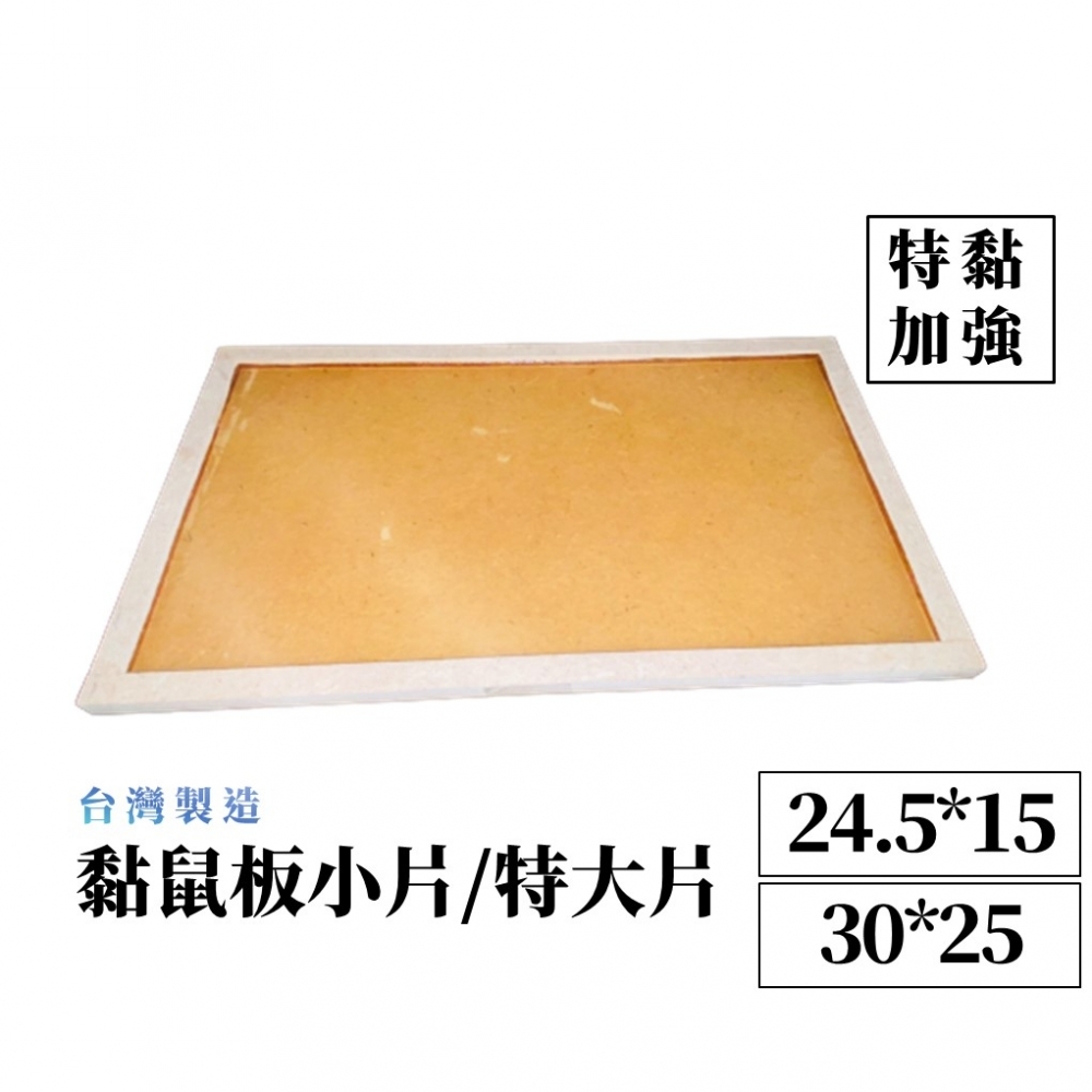 【99免運+發票】除鼠公司專用小大黏鼠板 小片一片24.5*15