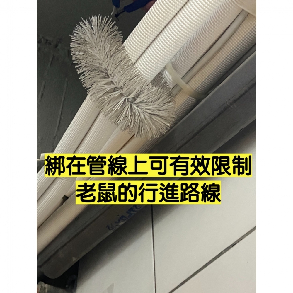 【99免運+電子發票】鼠刷 填補老鼠洞 防鼠刷 防鼠刺 防鼠好幫手