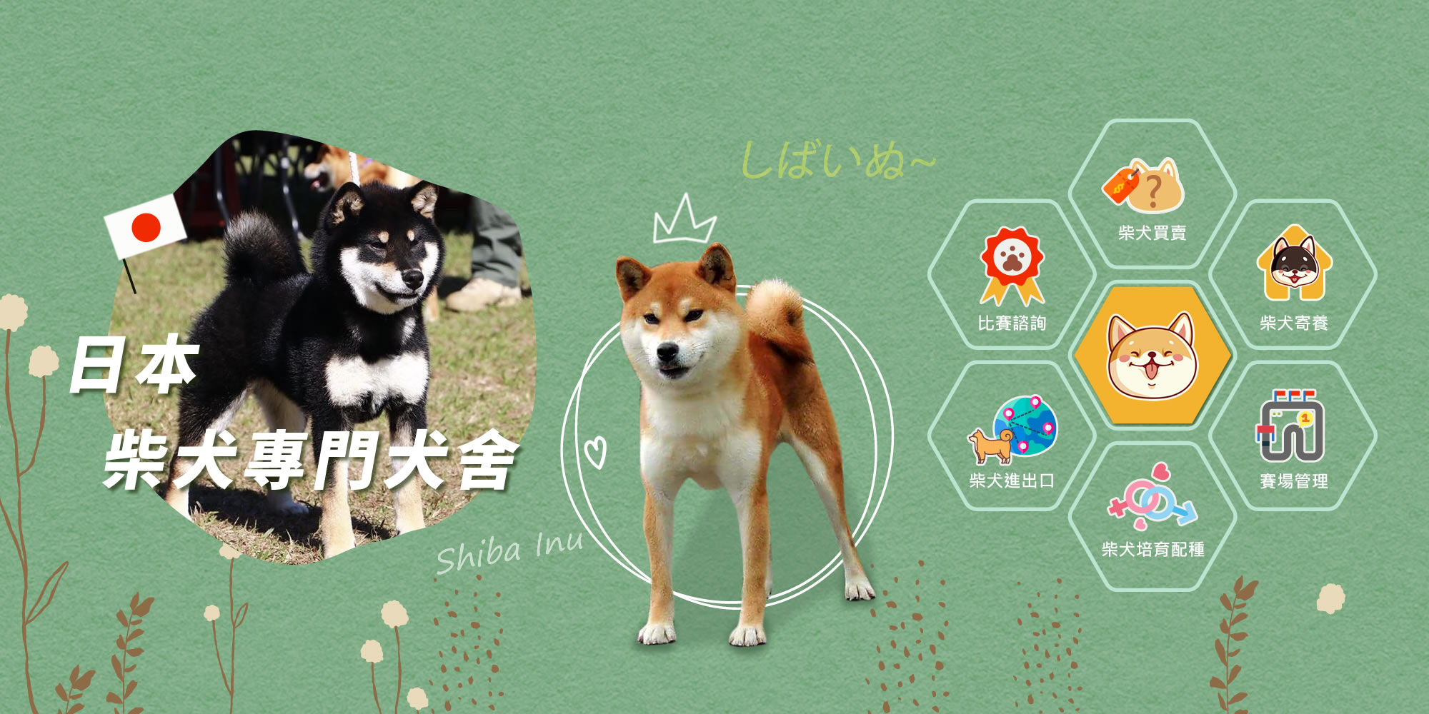 高明莊犬舍 柴犬買賣 柴犬幼犬買賣 小工匠家事網
