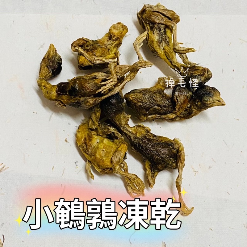 ༺ 掉毛怪✿小鵪鶉༻