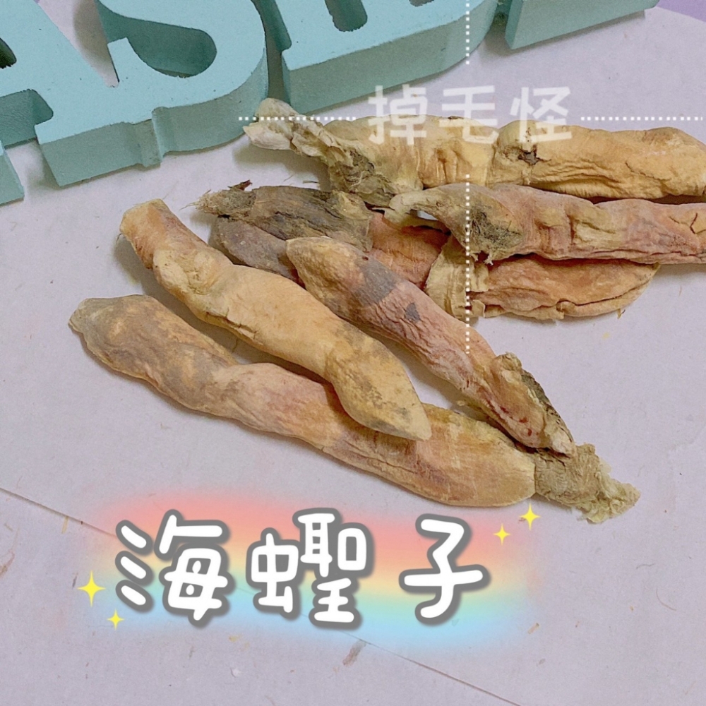 ༺ 掉毛怪✿海蟶子-