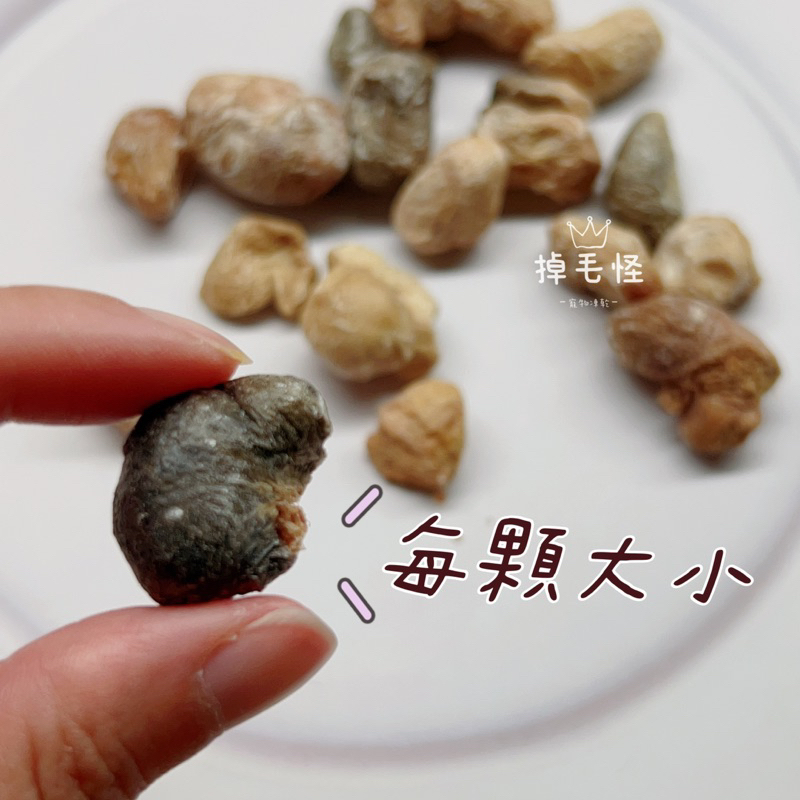 ⚞掉毛怪✿雞佛小金丸⚟腰子 火雞佛