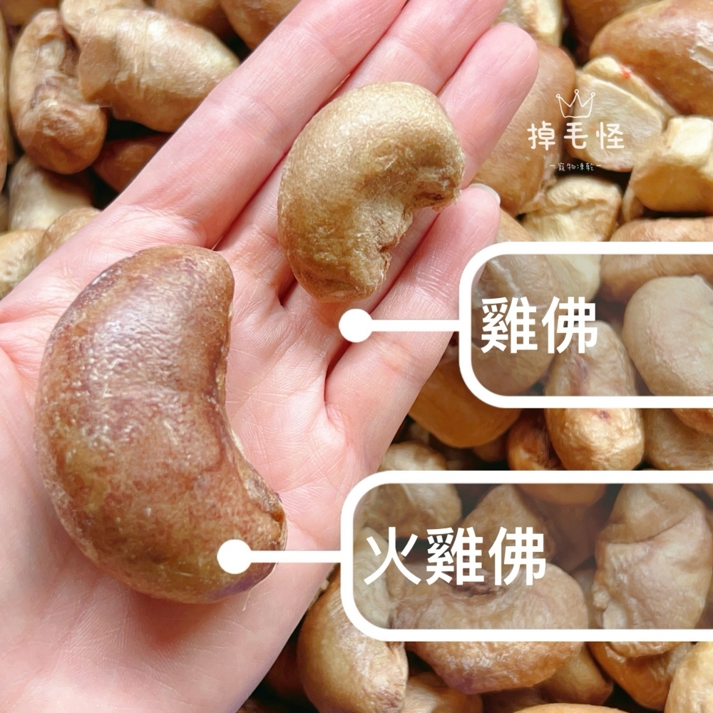 ⚞掉毛怪✿雞佛小金丸⚟腰子 火雞佛