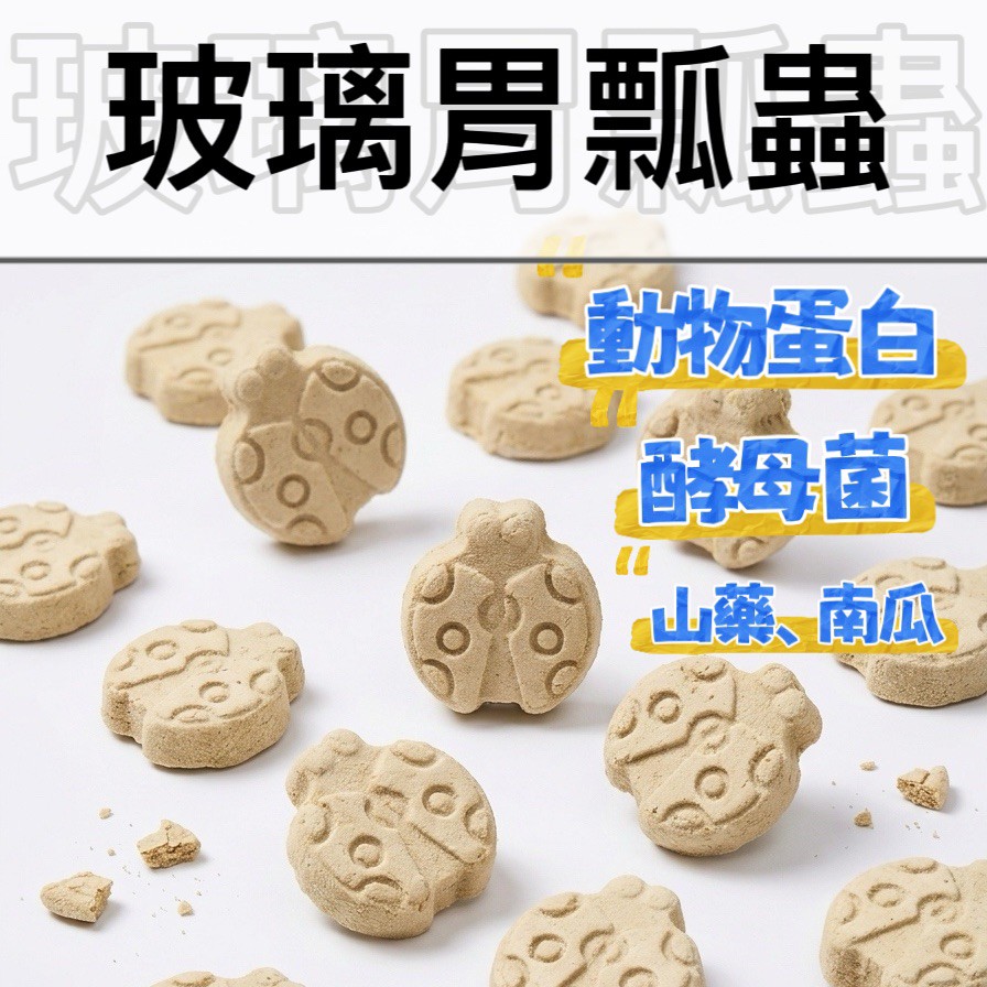 ⚞掉毛怪✿護胃瓢蟲⚟