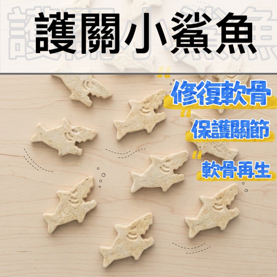 ⚞掉毛怪✿護關小鯊⚟