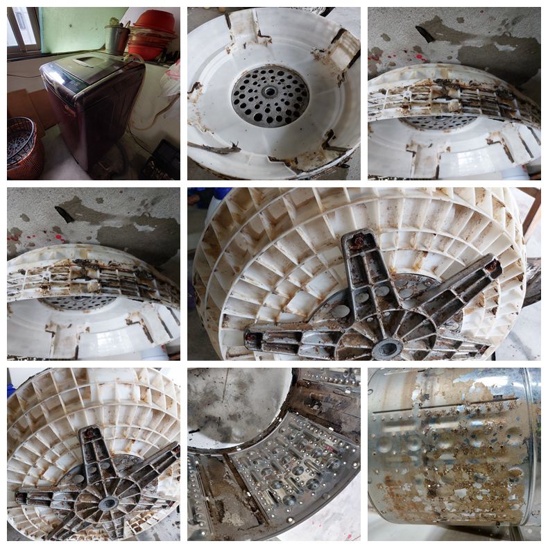 感謝南投小毅清洗洗衣機