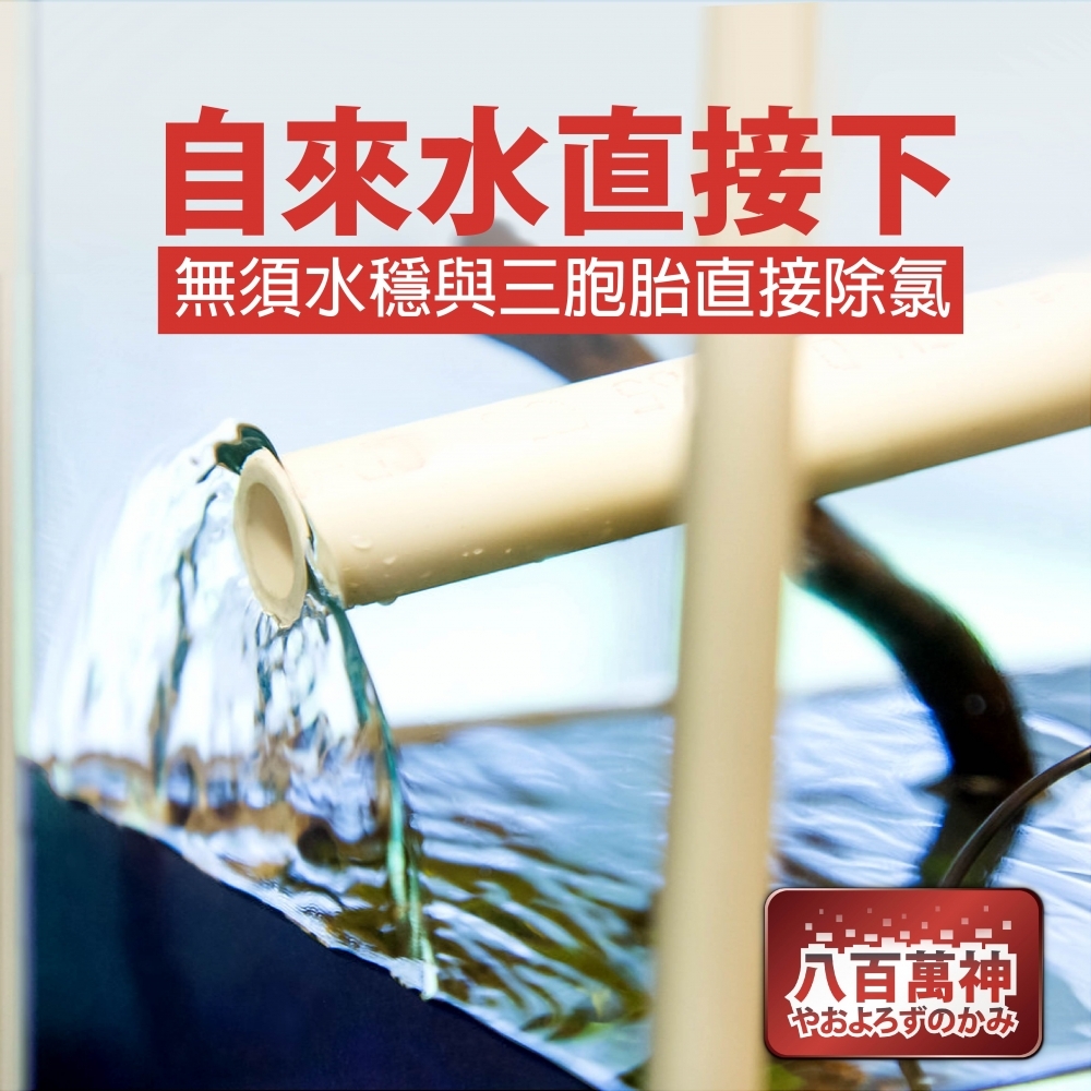 八百萬神 除氯淨水器