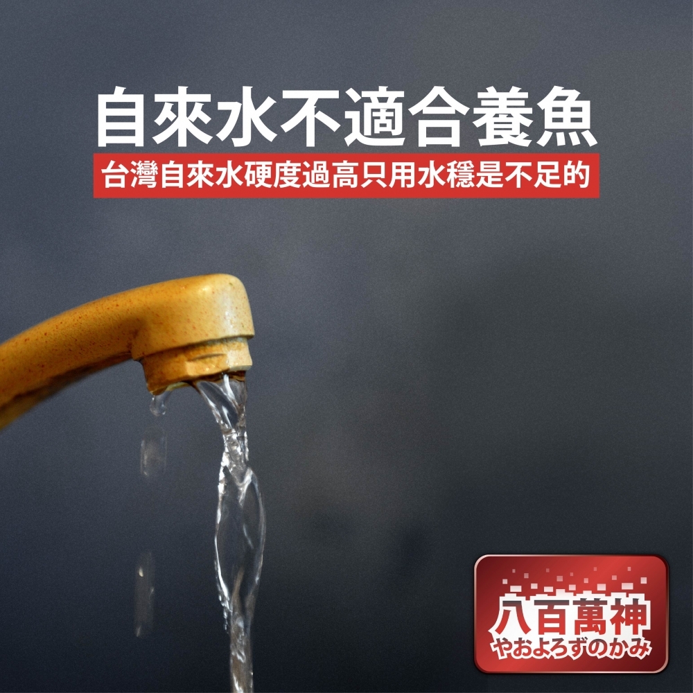 八百萬神 除氯淨水器